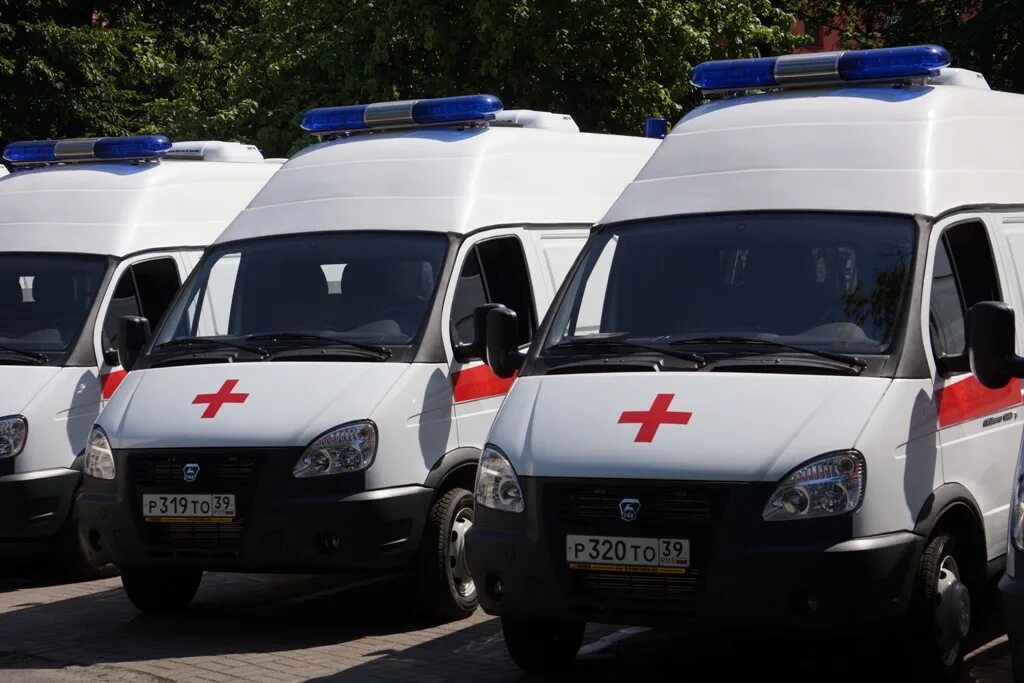 Паз 4234 передвижной фап. Выездная служба паллиативной помощи. Медицинский центр медистим. Выездная медицинская служба. Выездные медицинские осмотры машина.