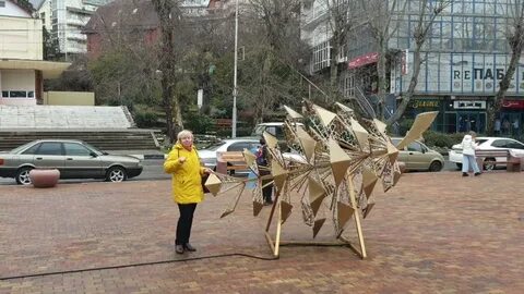 Отмена сочи