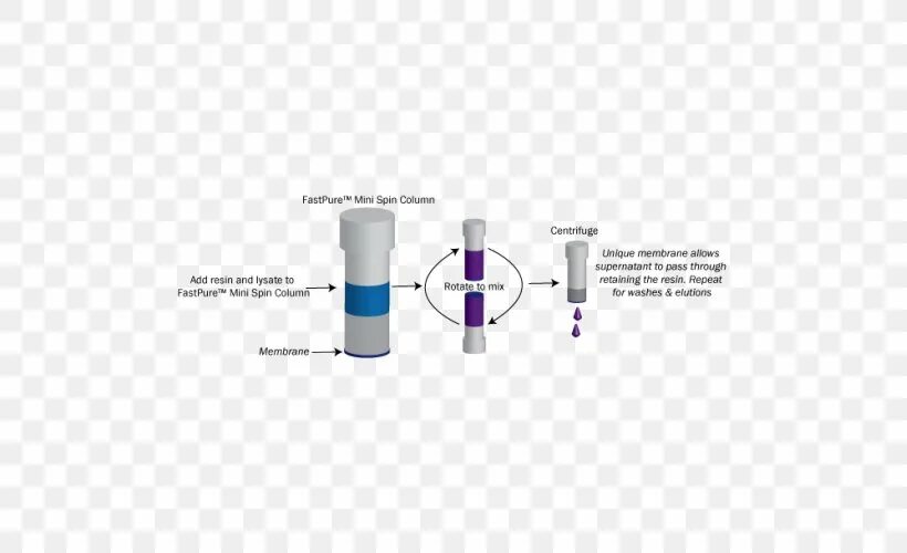 Spin columns. Аффинная очистка белков. FPLC (fast Protein Liquid Chromatography). Nucleic Protein Low Pressure Liquid Chromatography System.