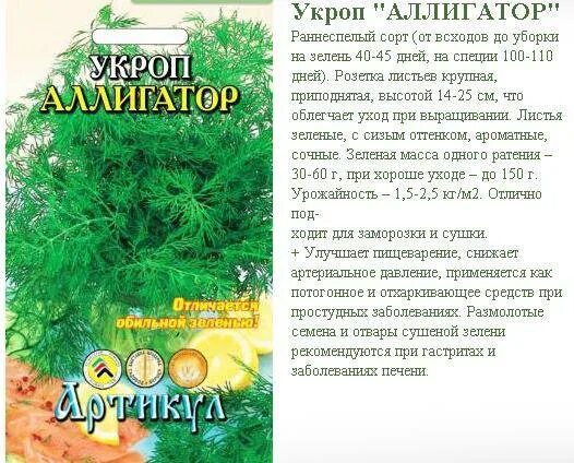 Укроп аллигатор описание. Укроп кустовой Аллигатор сорт. Укроп Аллигатор 100гр. Аллигатор укроп многолетник?. Семена укроп Аллигатор.