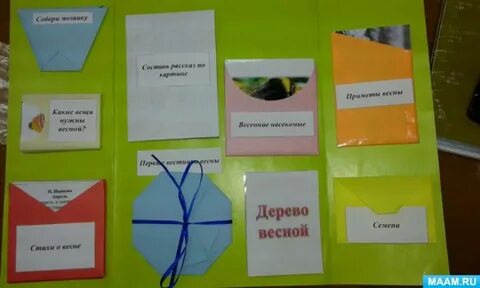 Лэпбук плоды и семена