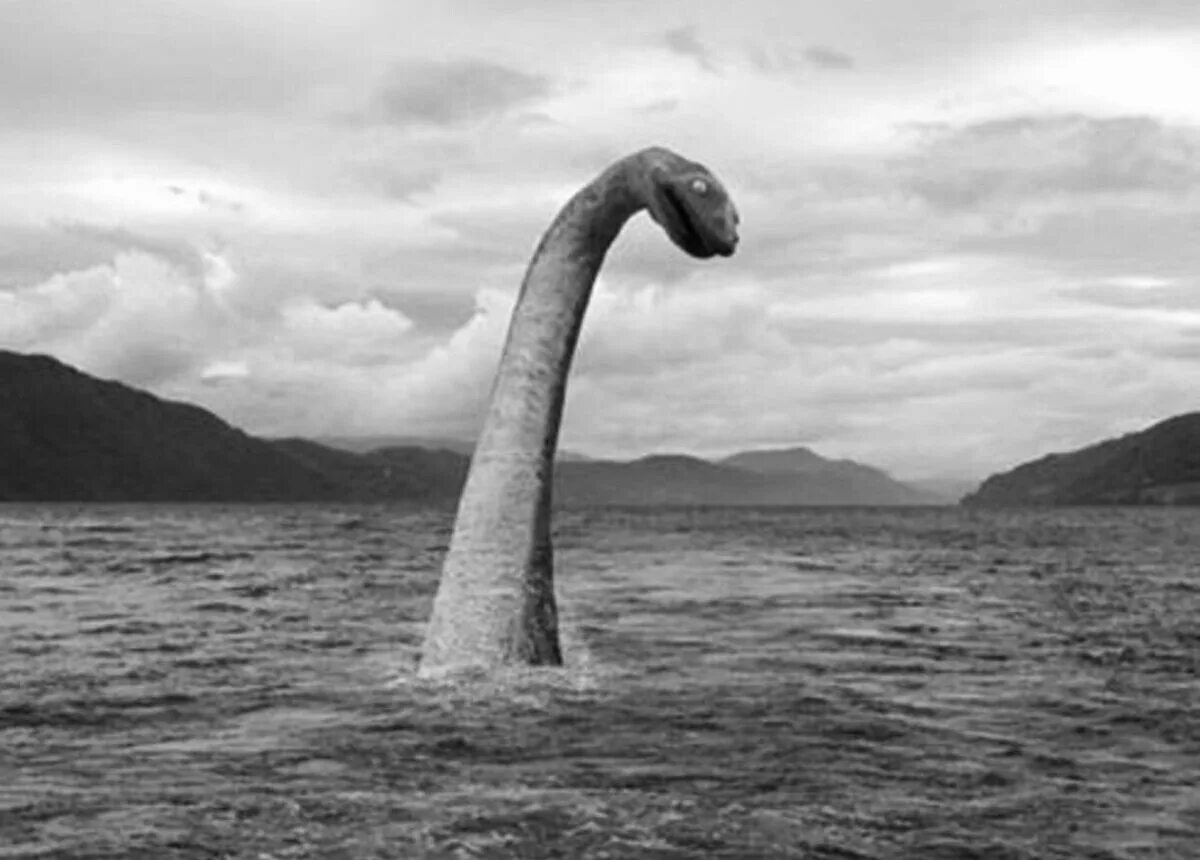 Monster nessie. Озеро Лохнесс и Лохнесское чудовище. Озеро Лохнесс Несси. Монстр озера Лохнесс. Озеро Лохнесс в Шотландии Лохнесское чудовище.