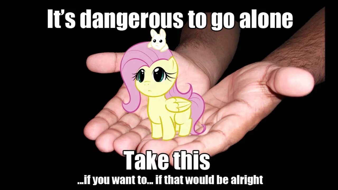 Why is it dangerous. Its dangerous to go alone. its dangerous to go alone take this. its safe its dangerous. mlp meme.