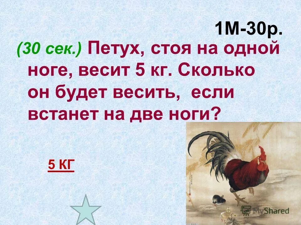 Сколько будет весить петух стоя на одной ноге. Сколько весит петух. Петух на 1 ноге. Петух стоит. 1 курица весит