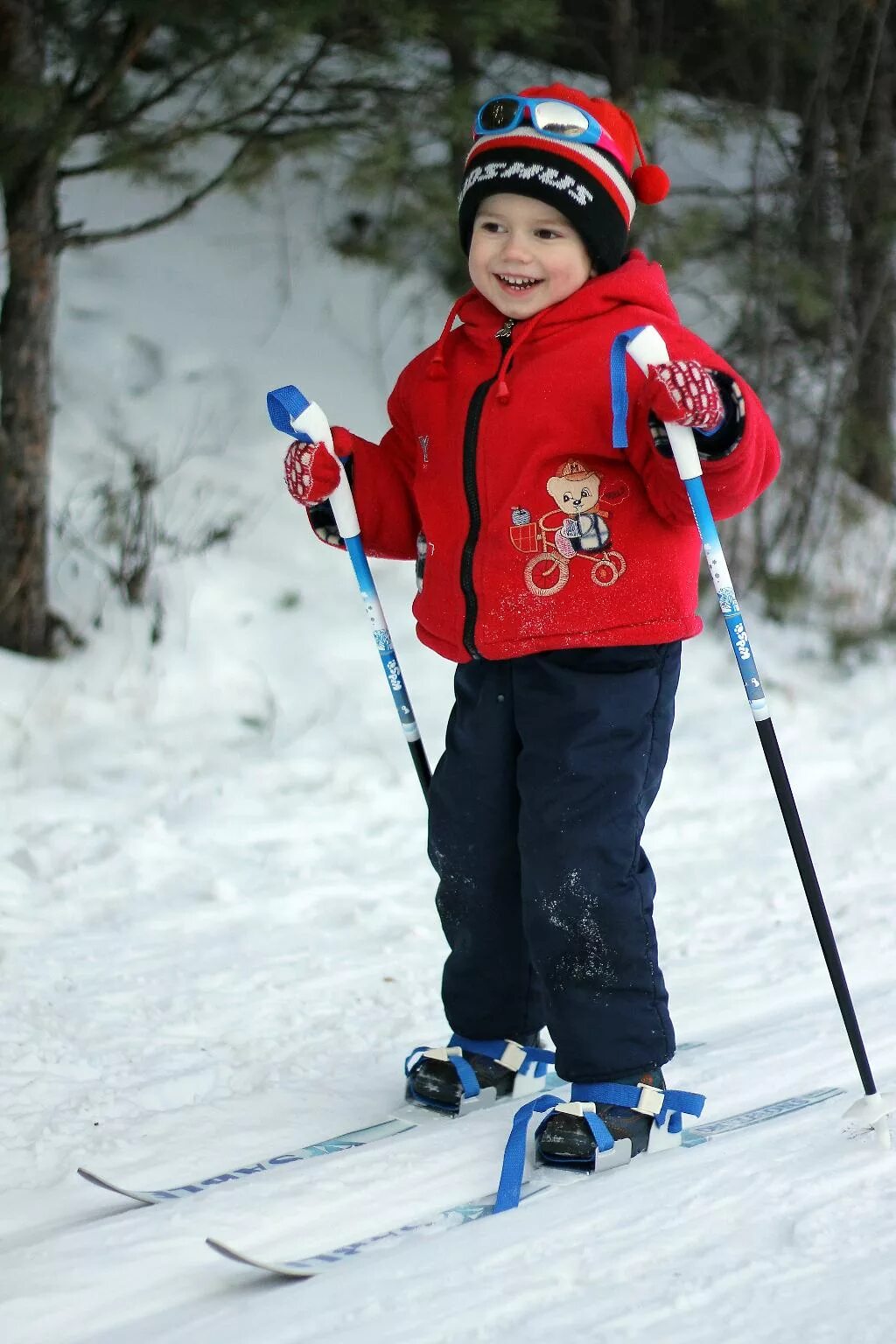 Юный лыжник. Дети на лыжах. Малыш на лыжах. Дети катаются на лыжах. Малыши катаются на лыжах.
