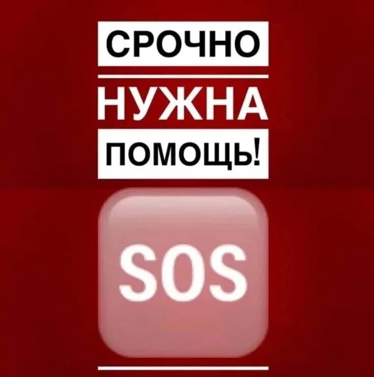 Помогите нужен сайт. Срочно нужна помощь. Очень срочно нужна помощь. Сос срочно нужна помощь. Срочно нужна ваша помощь.