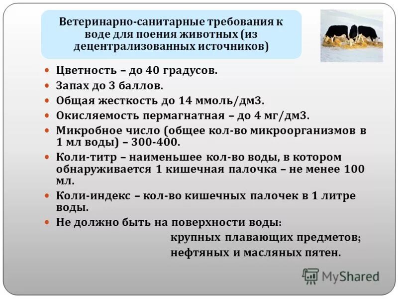 Общие требования к питьевой воде. Санитарно-гигиенические требования к воде и поению животных. Ветеринарно-санитарные требования. Требования к качеству воды для животных. Санитарные требования к животноводческим помещениям.