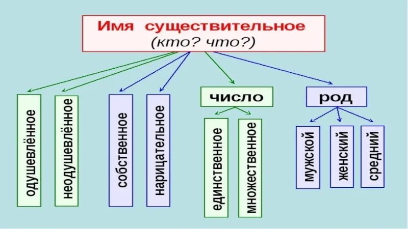 Проект на тему существительное. Имена существительные 2 класс. Имя существительное 2 класс. Имя существительное схема 2 класс школа России. Сия существительное 2 класс.