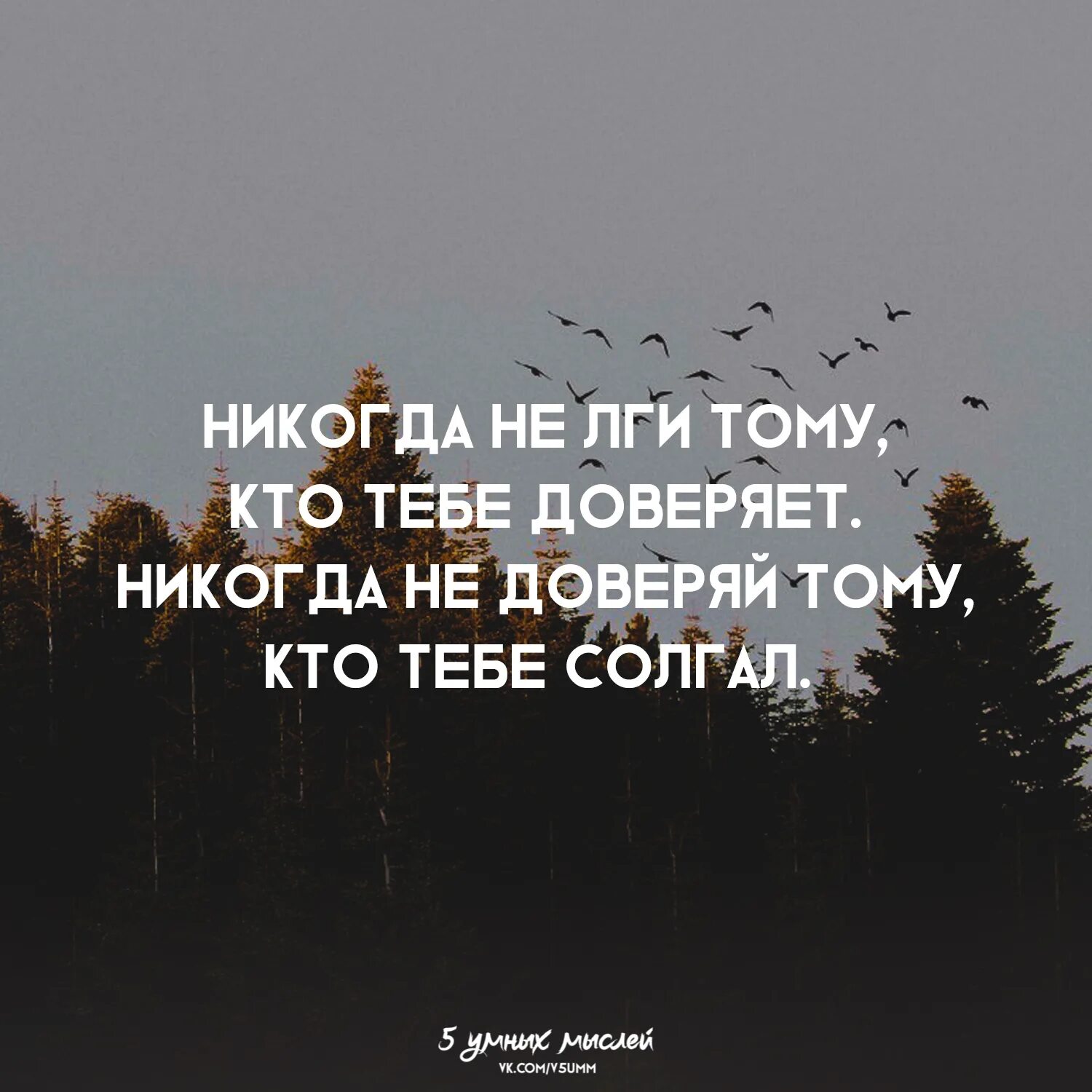 Не доверяю совершенно не доверяю