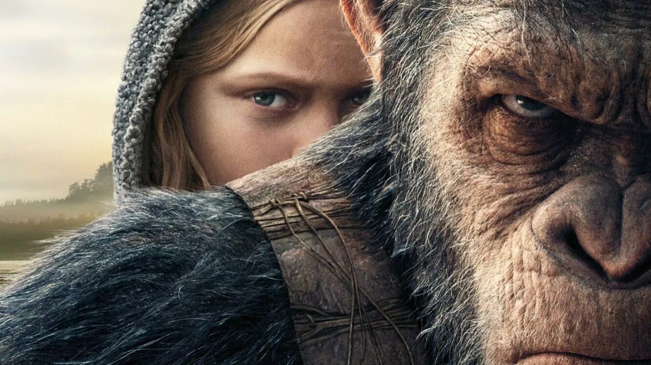 Kingdom of the planet of the ape