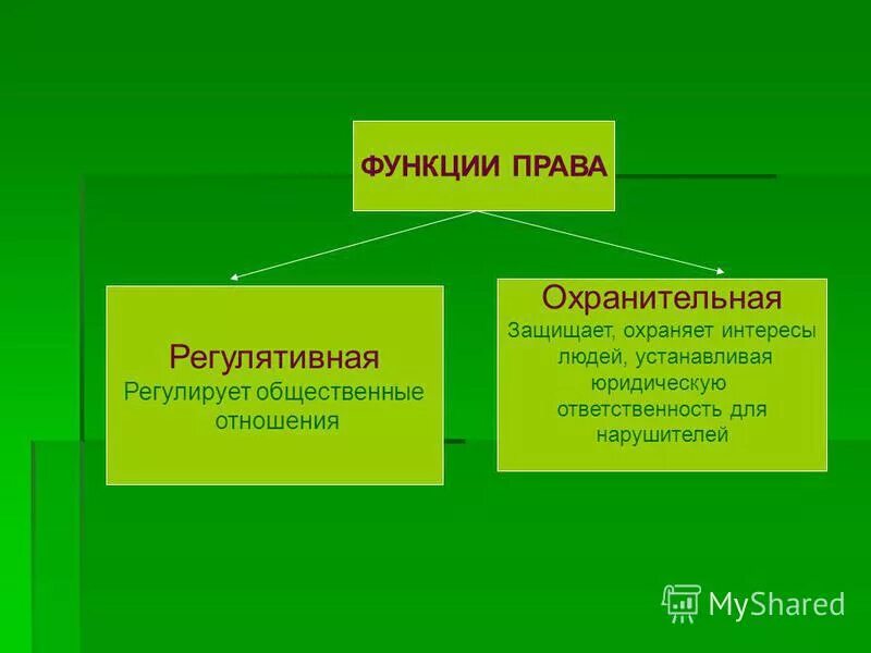 Регулятивная и охранительная функции.