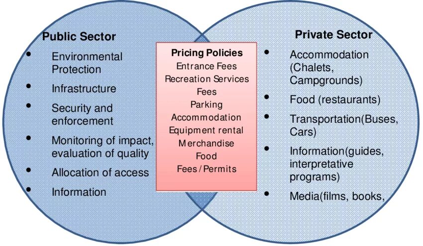 Private sector. Private and public sector. Public sector private sector. The Basics of the pricing Policy. Public private sectors difference.