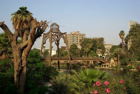 Cairo перевод
