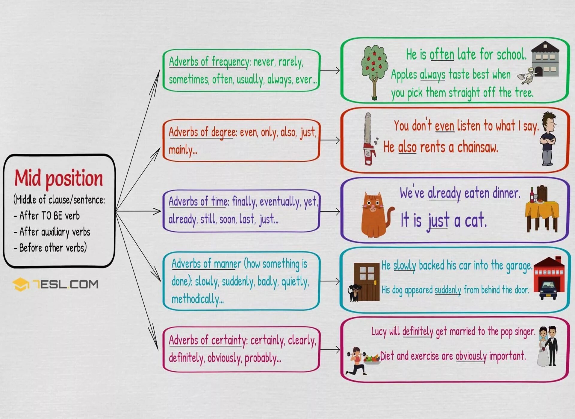 Position of adverbs. Adverbs position in a sentence. Position of adverbs правило. Types of adverbs in English.