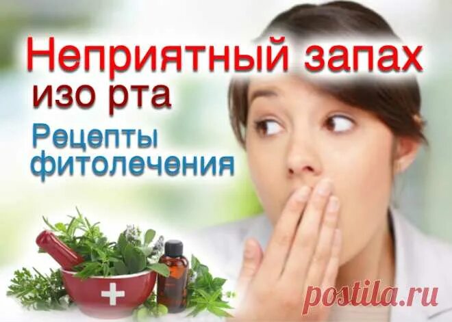 Запах изо рта при диабете. Против неприятного запаха изо рта. Растения от запаха изо рта. Народные средства от запаха изо рта. Травяной запах изо рта.