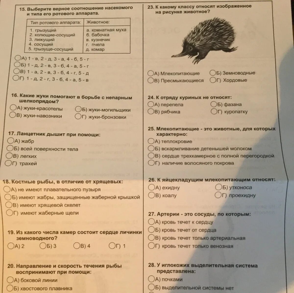 Задания биология заключительный этап. Олимпиадные задания по биологии 8.