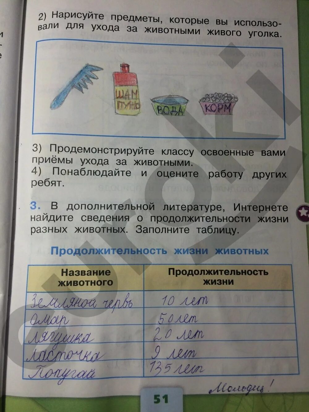 Окружающий мир рабочая тетрадь стр 51