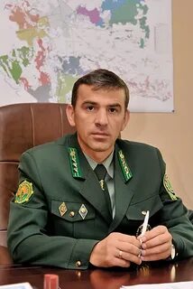 Гомельское лесничество