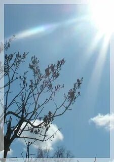 8 апреля солнечное