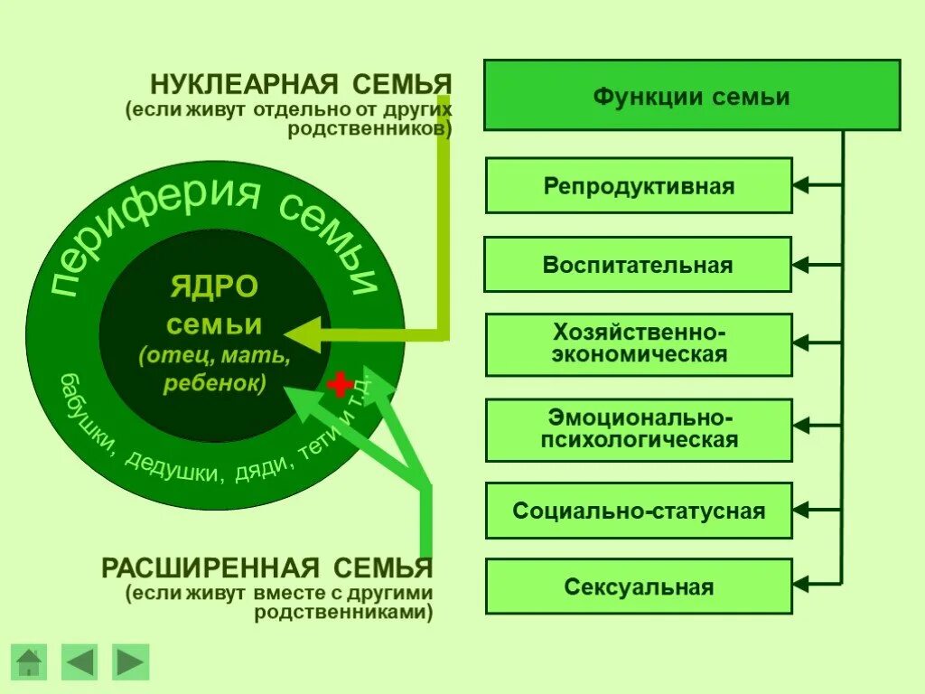 Что представляет собой нуклеарная семья