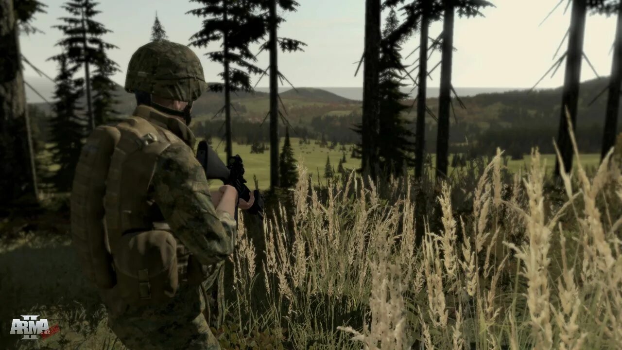 Арма 2 на пк. Арма 2 combined Operations. Armed Assault 2. Arma 2: Operation Arrowhead. Арма 2 операция стрела.