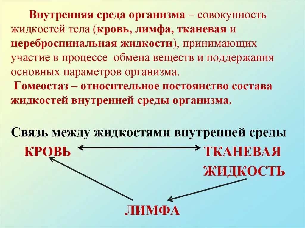 Из чего состоит среда организма. Внутренняя среда организма. Внутренняя среда организма кровь. Жидкости внутренней среды организма. Внутренняя среда органи.