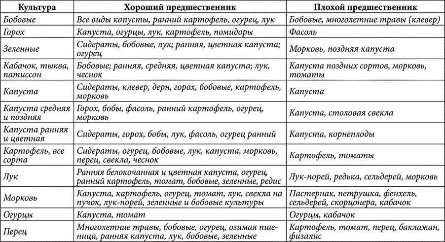 Какие овощи можно сажать после