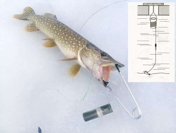 Как ловить щуку на жерлицы. Снасть рыболовная поставушки. Зимняя жерлица поставушка. Жерлица поставушка на налима. Оснастка поставушки на налима.