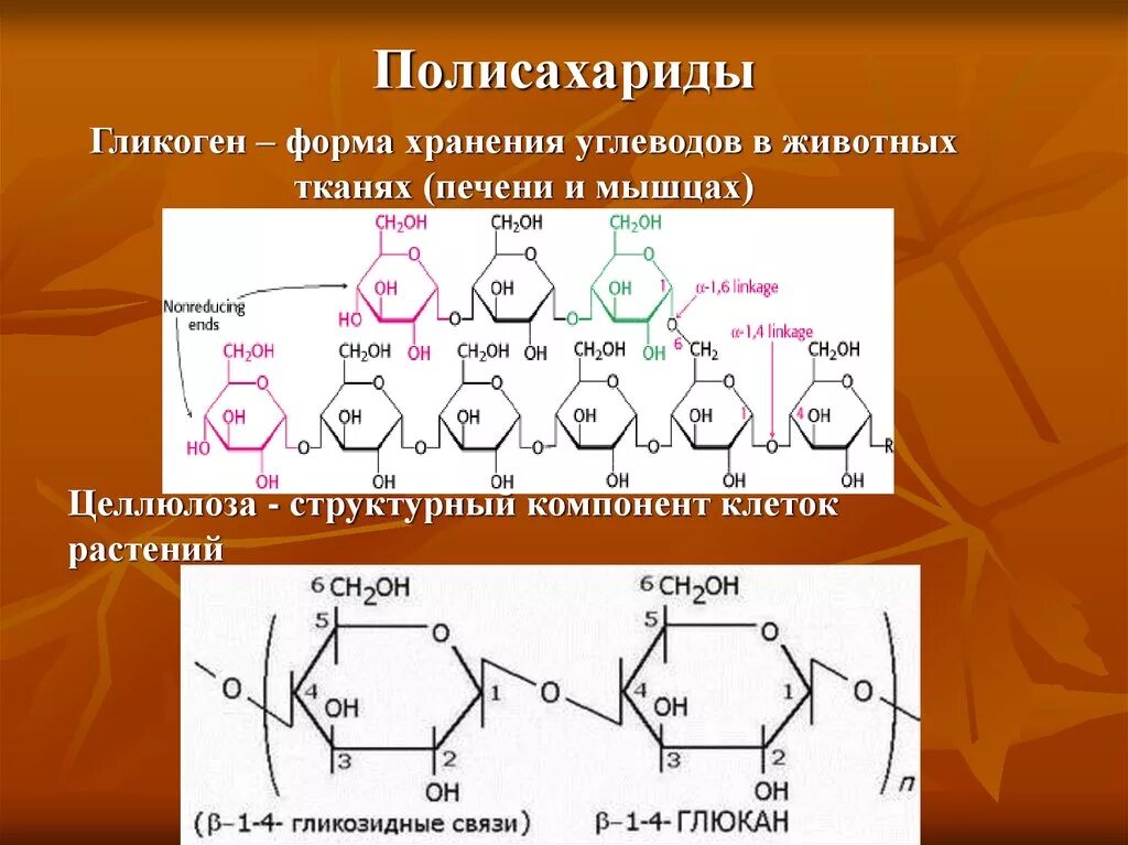 Углеводы формулы группа углеводов. Строение мономера полисахаридов. Моносахариды полисахариды гликоген. Полисахариды состав. Строение полисахаридов структурная формула.
