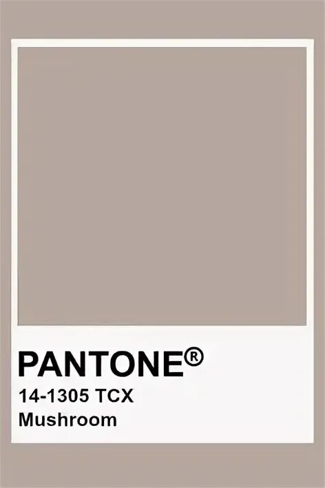 Pantone mushroom