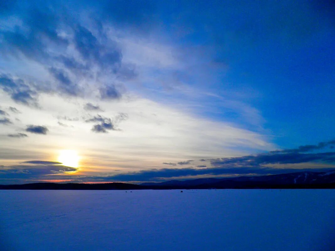 просторы родного края. голубые просторы. голубой морской простор. васильки беларусь. синим просторам.