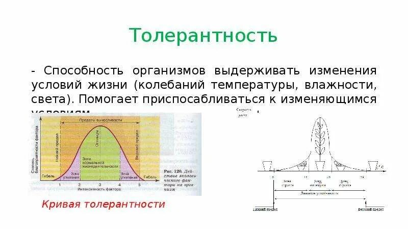 Колебания температуры в водной среде обитания. Способность организмов выдерживать. Колебания температуры среде. Способность выдерживать изменения среды. Способность приспосабливаться к изменениям условий жизни.