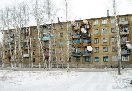 Дома в борзе