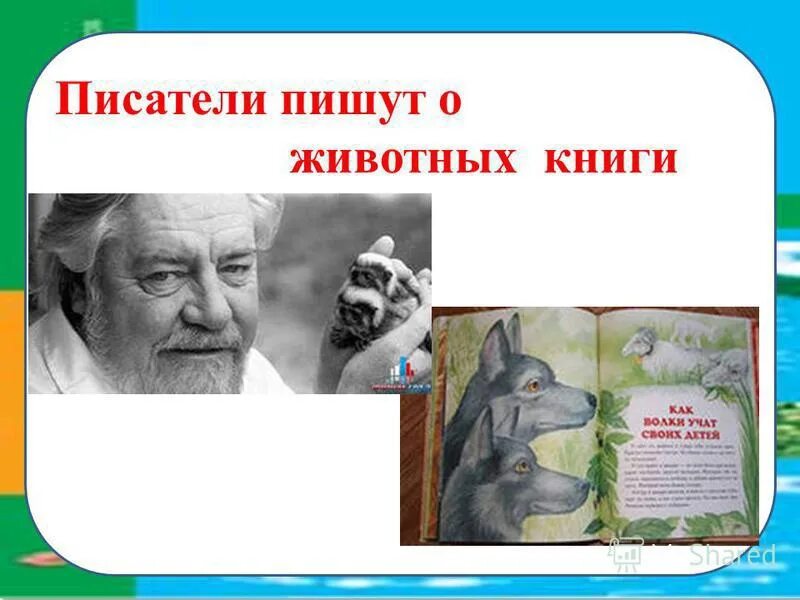 Писатели книг о животных. Писатели о животных. Писатели которые писали о животных. Какие Писатели писали книги о животных. Какие авторы писали о животных.