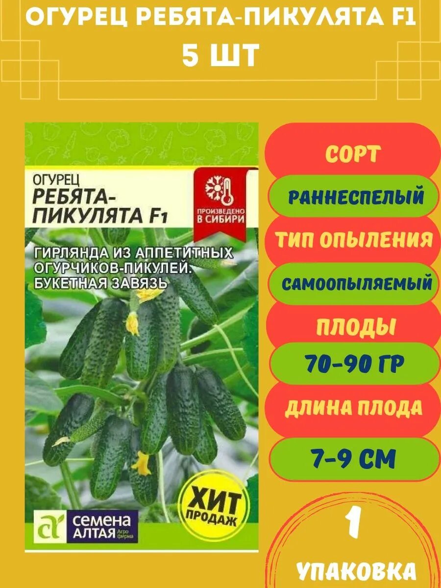 Огурец герман аэлита. Огурец ребята пикулята f1. Ребята пикулята. Огурец ребята пикулята семена алтая. Огурец ребята пикулята семена алтая.