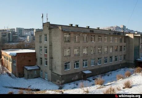 Вск владивосток колледж