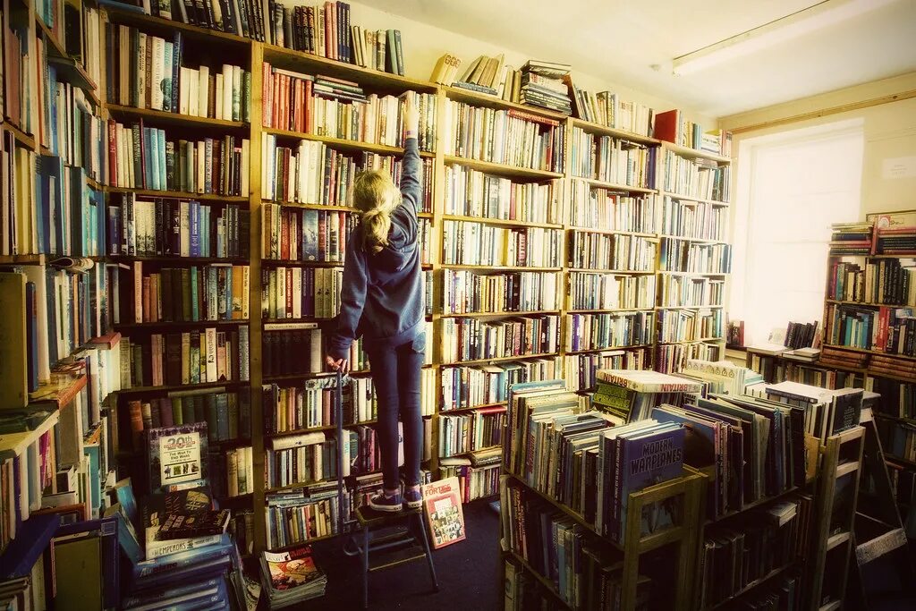 Книголюб работа