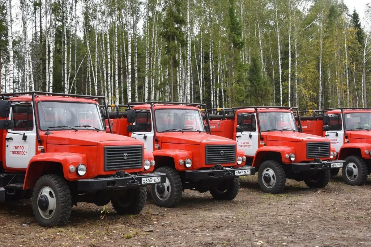 Пожлес Рязанской области. ГБУ РО Пожлес Солотча. Газон Пожлес пожарка. Пожлес насосная станция на базе Садко. Сайт минприроды рязанской области