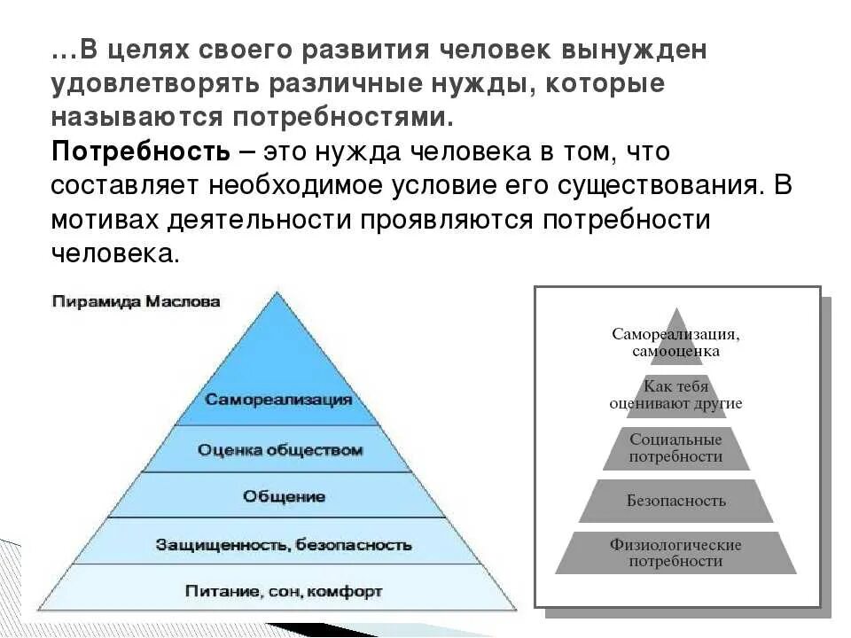 Почему ее относят к социальным потребностям