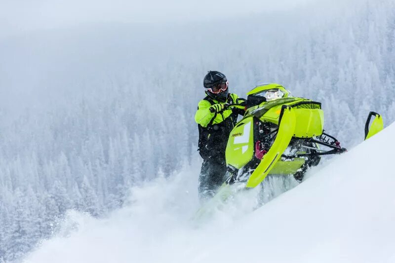 Ski Doo снегоход Freeride. Снегоход БРП фрирайд 850. BRP Freeride 800 137. Снегоход BRP Freeride 800. Ski doo 154