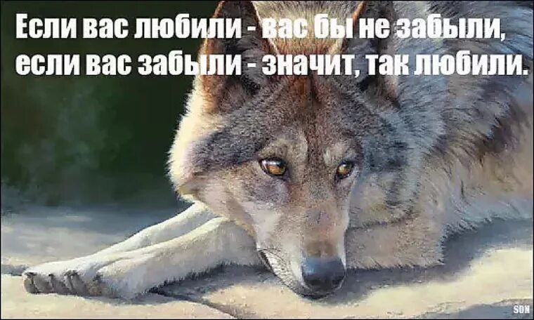 Я совсем забыла бывшего