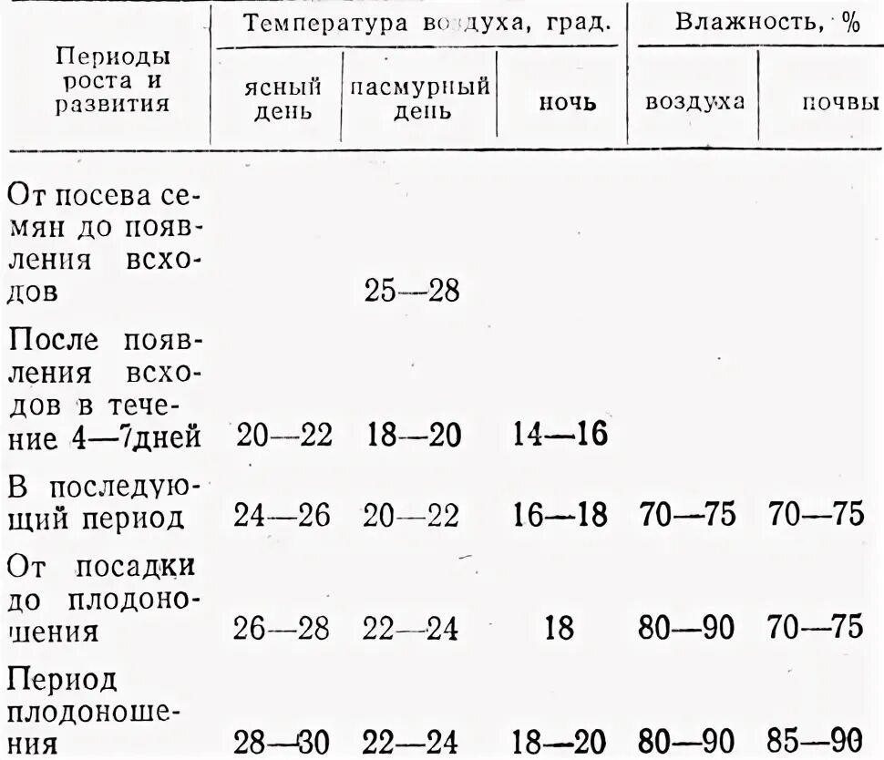 Огурцы температура выращивания в теплице. Температурный режим для томатов в открытом грунте. Температурный режим для рассады огурцов в теплице. Температурный режим для выращивания огурцов.