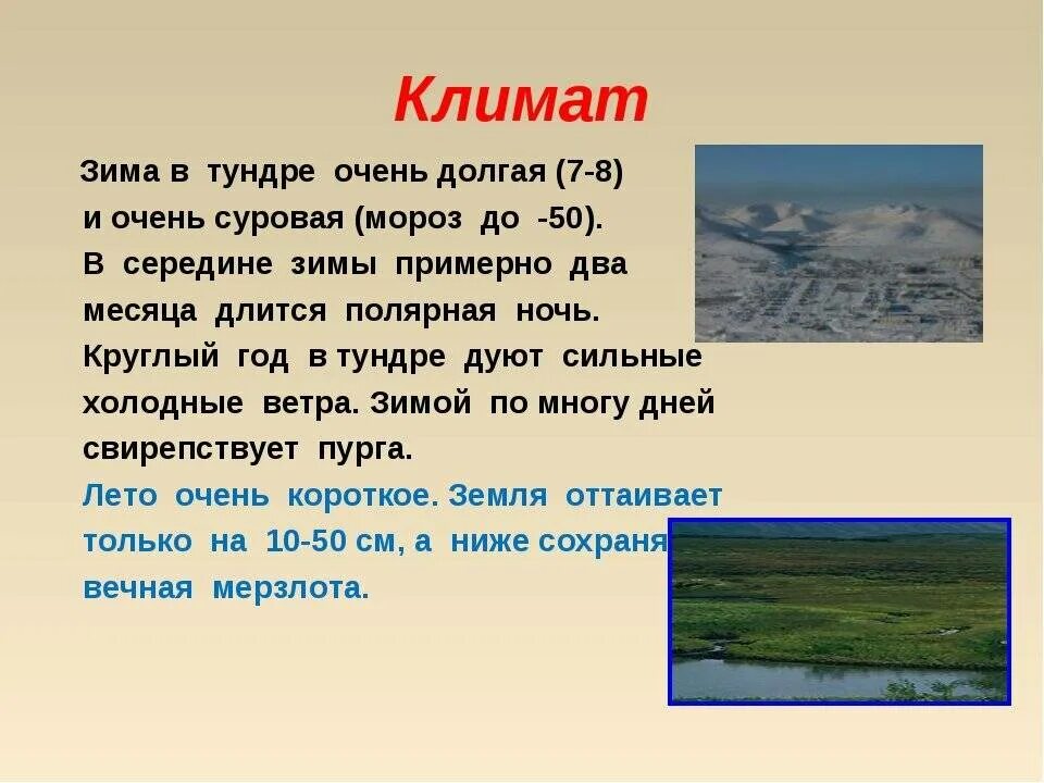 Характеристика тундры в россии. Тундра природная зона 4 класс. Зона тундры климат. Климат тундры 4 класс окружающий мир. Описание тундры.