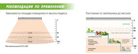 Сколько надо в растении