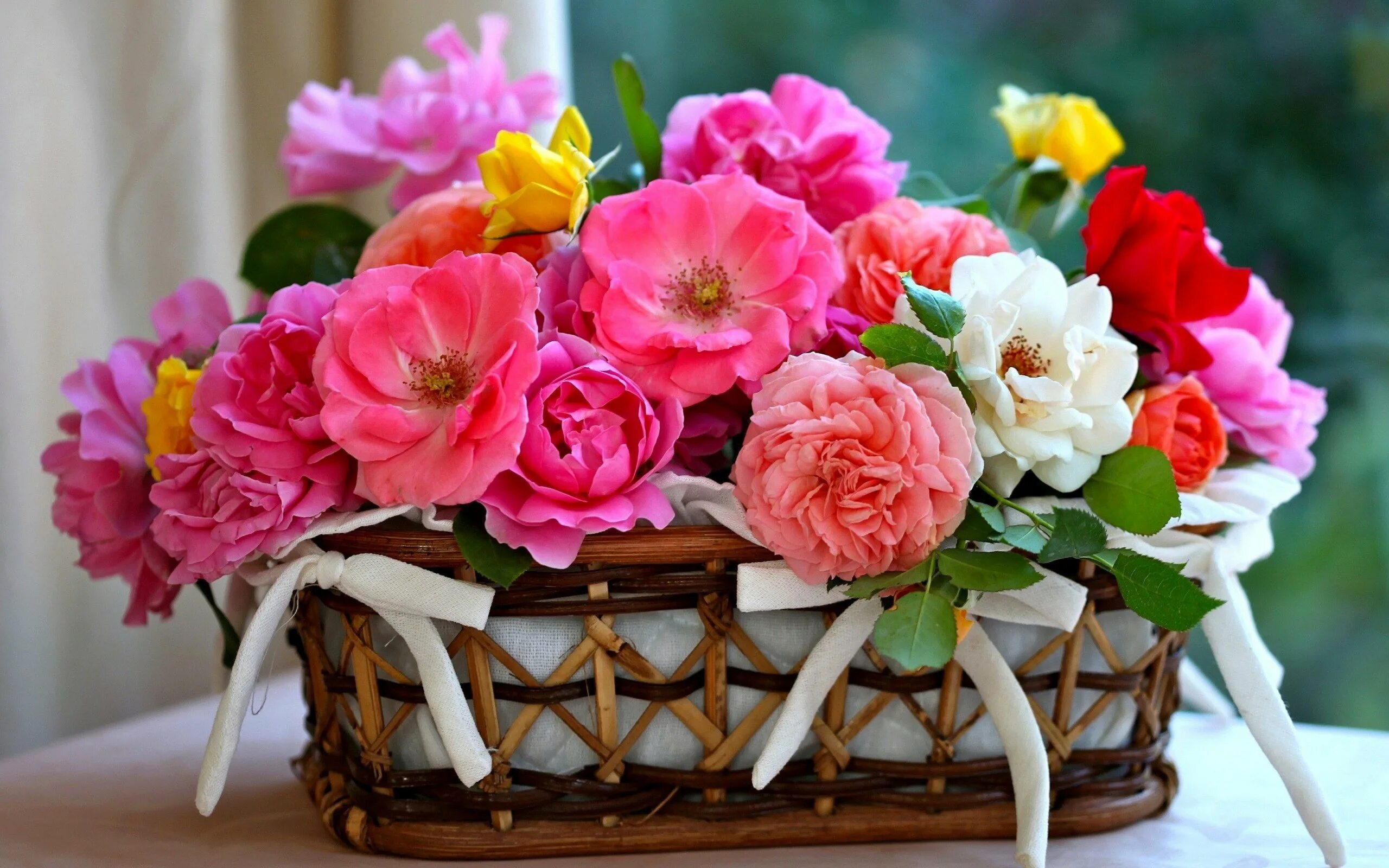 Поздравления с живыми цветами. Красивый букет цветов. Шикарные цветы. Шикарный букет цветов. Корзинка с цветами.