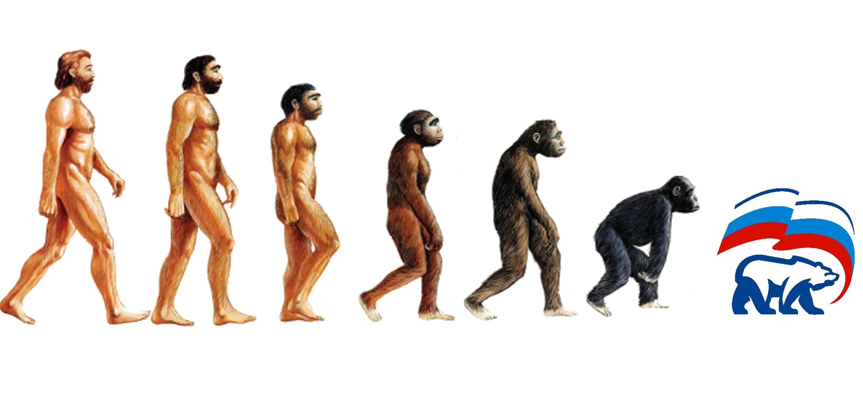 Человек превращается в обезьяну. Эволюция человека. Эволюция и деградация человека. От обезьяны к человеку. Процесс превращения человека в обезьяну