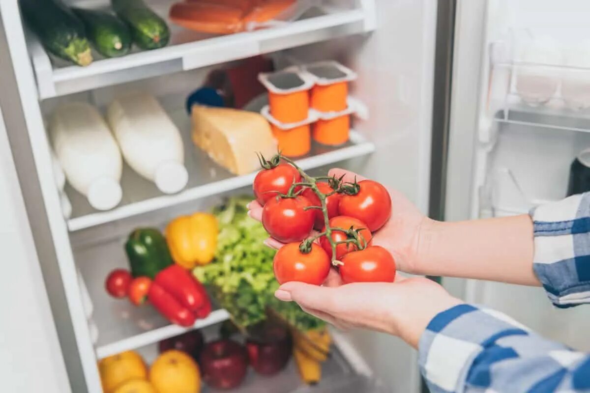 Desk in a Tomato shop. There are some tomatoes in the fridge