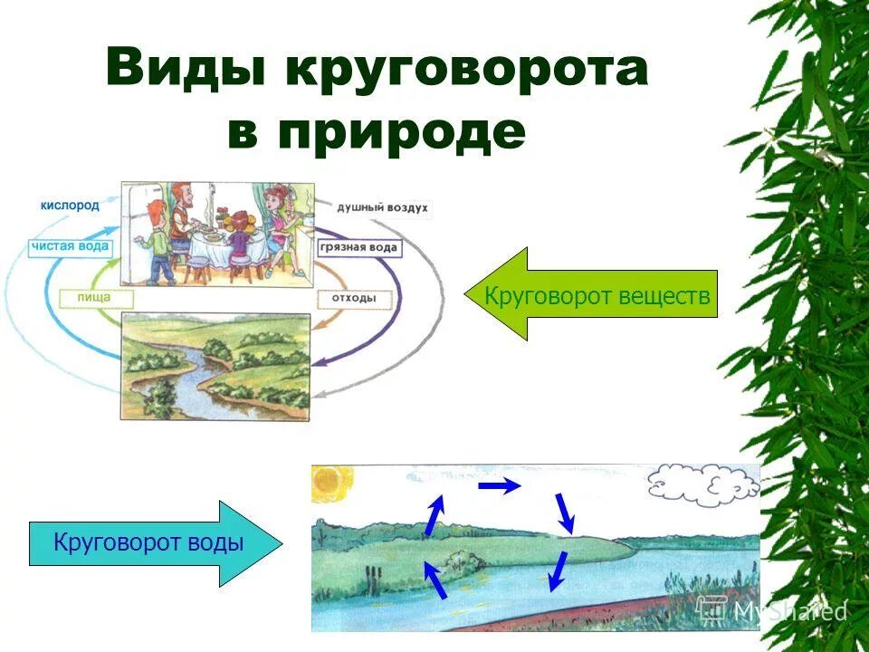 Тест по теме экосистема