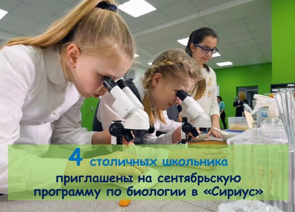Мониторинг образования чебоксары. Мониторинг образования чебоксары