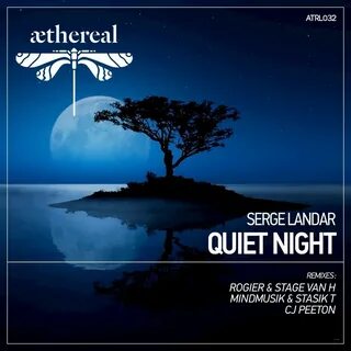 Quiet night